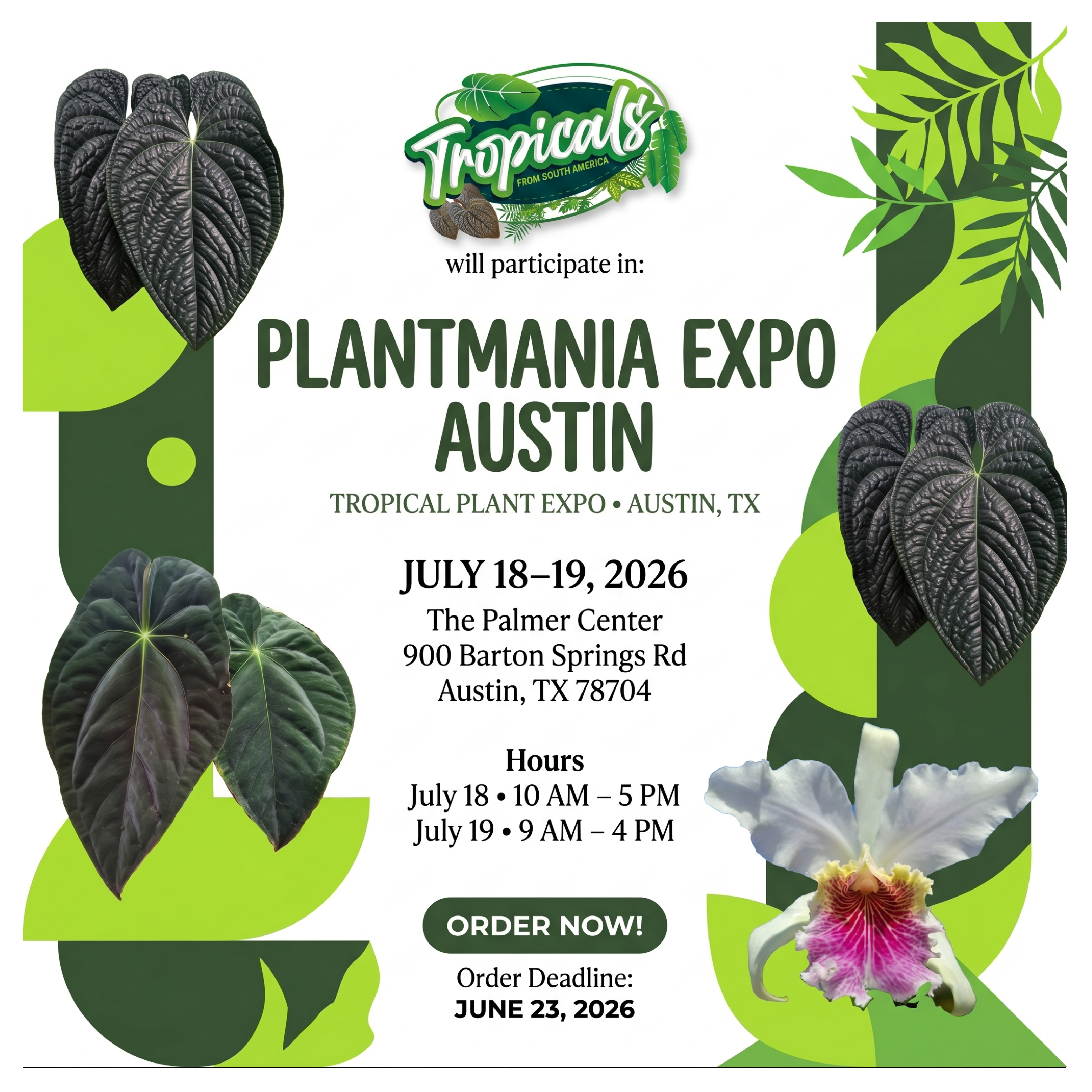 Tropicalplants