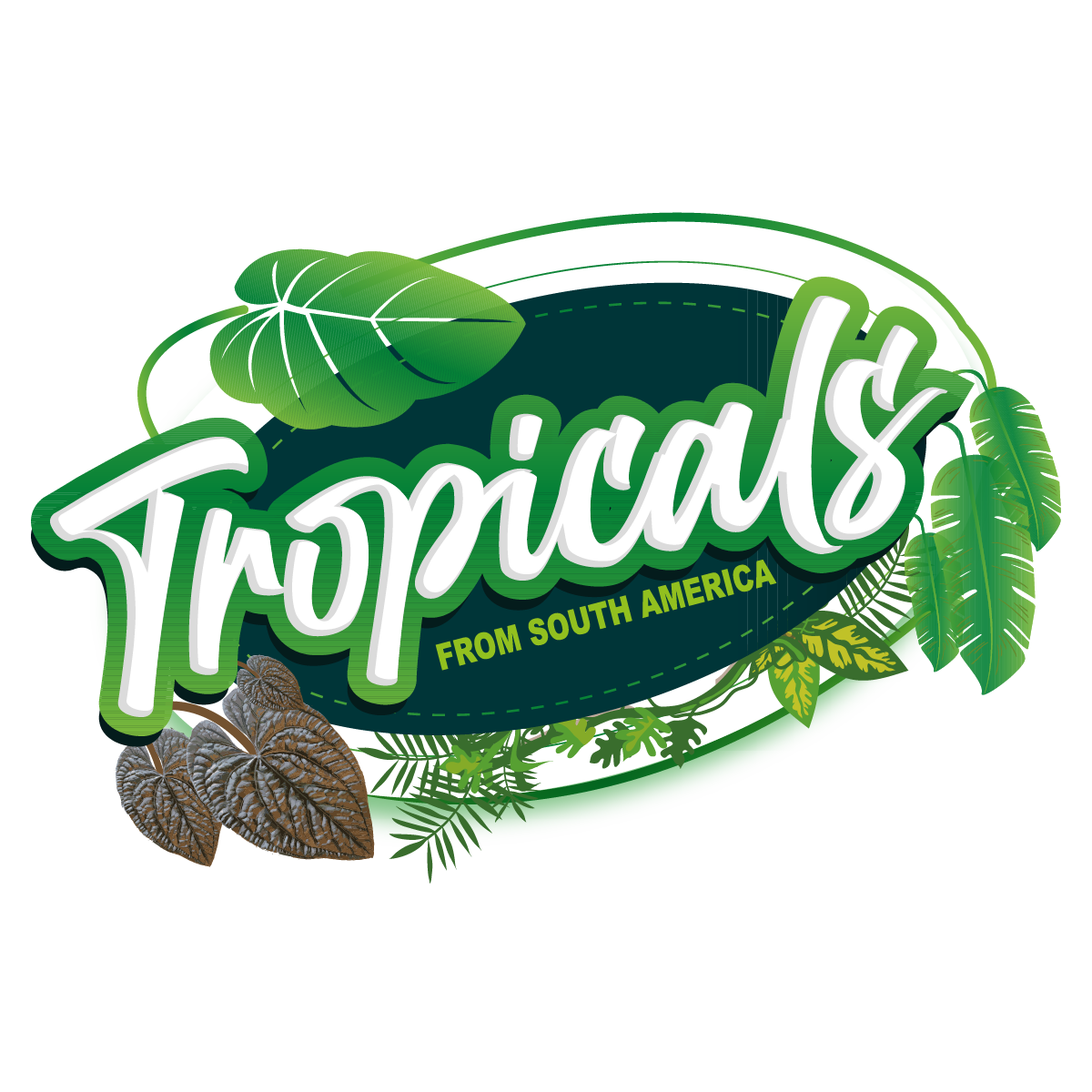 Tropicalplants